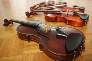 Geige spielen lernen in Oldenburg